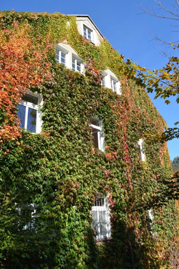 Burg Schoena Schmilka Exterior foto